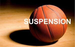 Suspension Basket - Janvier 2021
