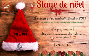 Stage de Noël